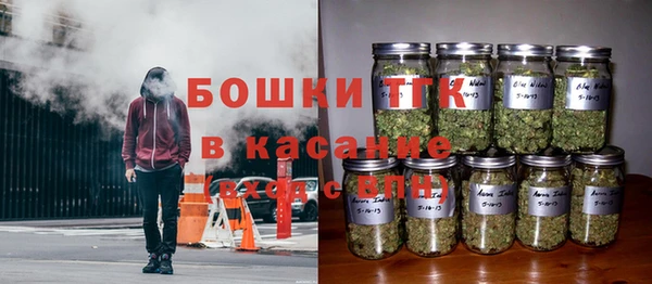 ГАЛЛЮЦИНОГЕННЫЕ ГРИБЫ Володарск