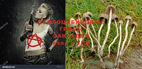 молекула духа Верея